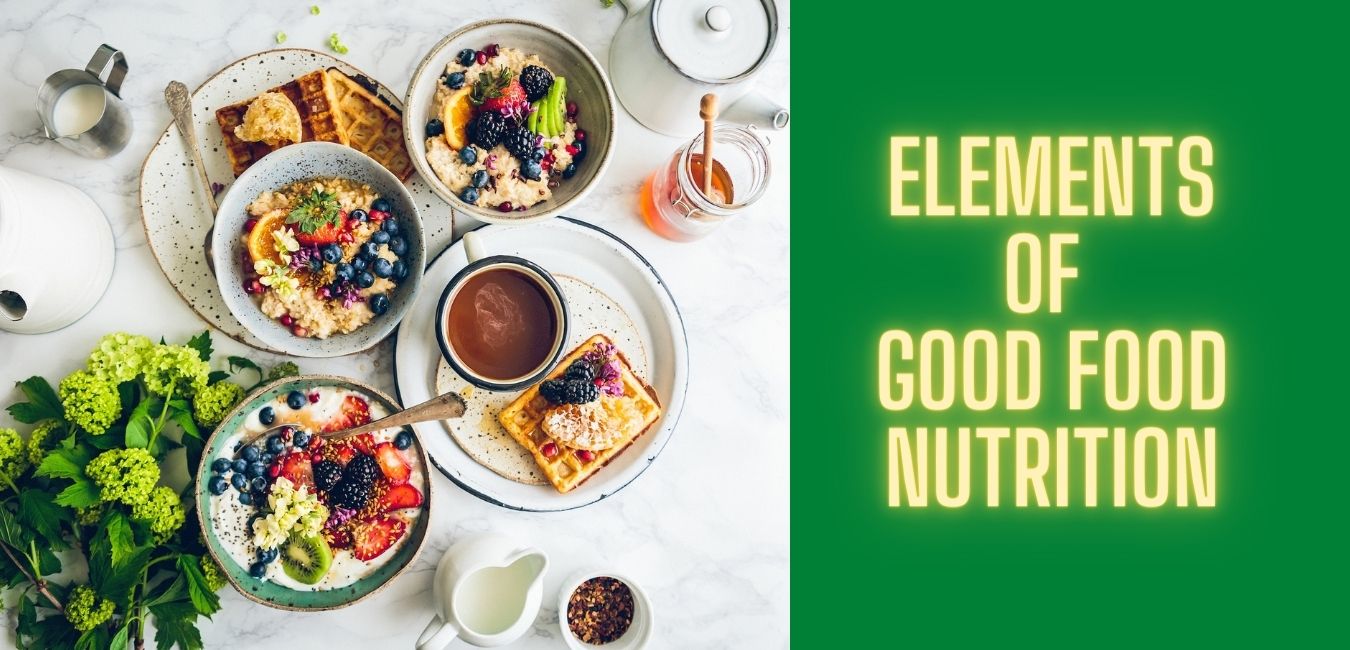 Elements of Good Food Nutrition